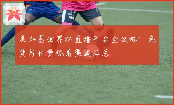 美加墨世界杯直播平台全攻略：免费与付费观看渠道汇总