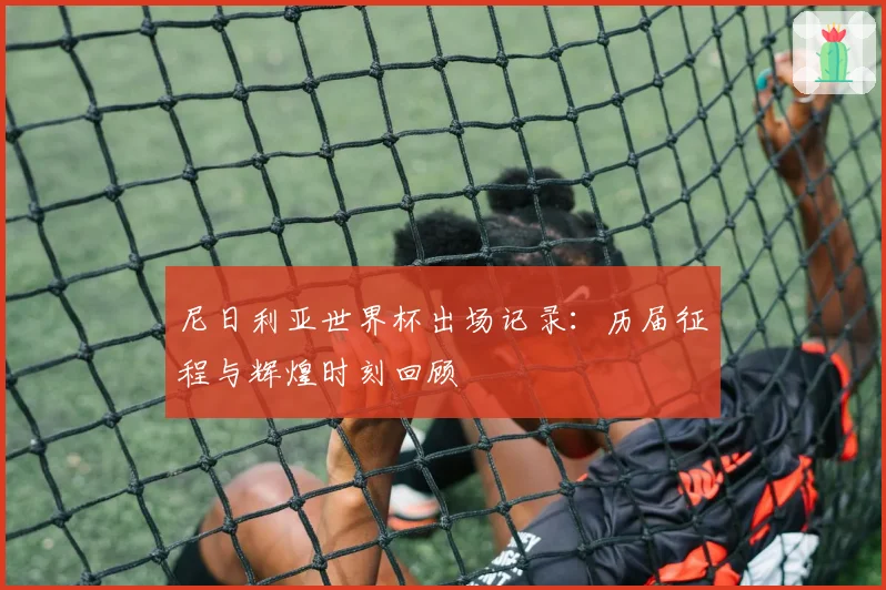 尼日利亚世界杯出场记录：历届征程与辉煌时刻回顾