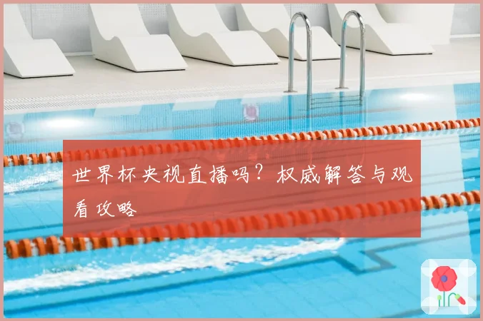 世界杯央视直播吗?权威解答与观看攻略