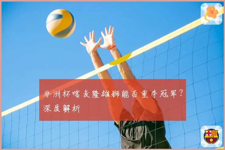 非洲杯喀麦隆雄狮能否重夺冠军?深度解析