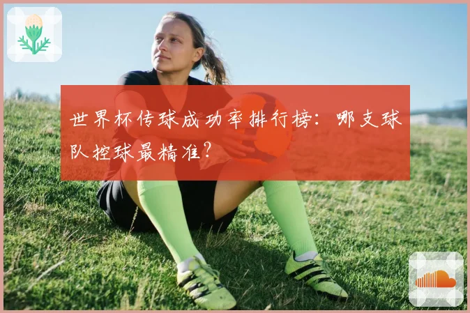 世界杯传球成功率排行榜:哪支球队控球最精准?