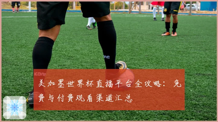 美加墨世界杯直播平台全攻略:免费与付费观看渠道汇总